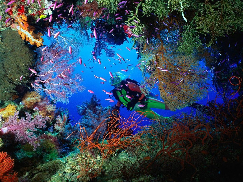 Scuba diving in Antigua